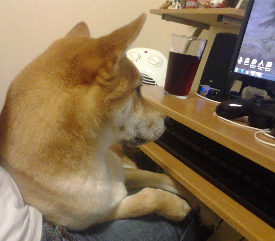 从南美狂飙到德甲巅峰,当巴拉圭冲垮加拿大,拉亚在争冠战接管比赛