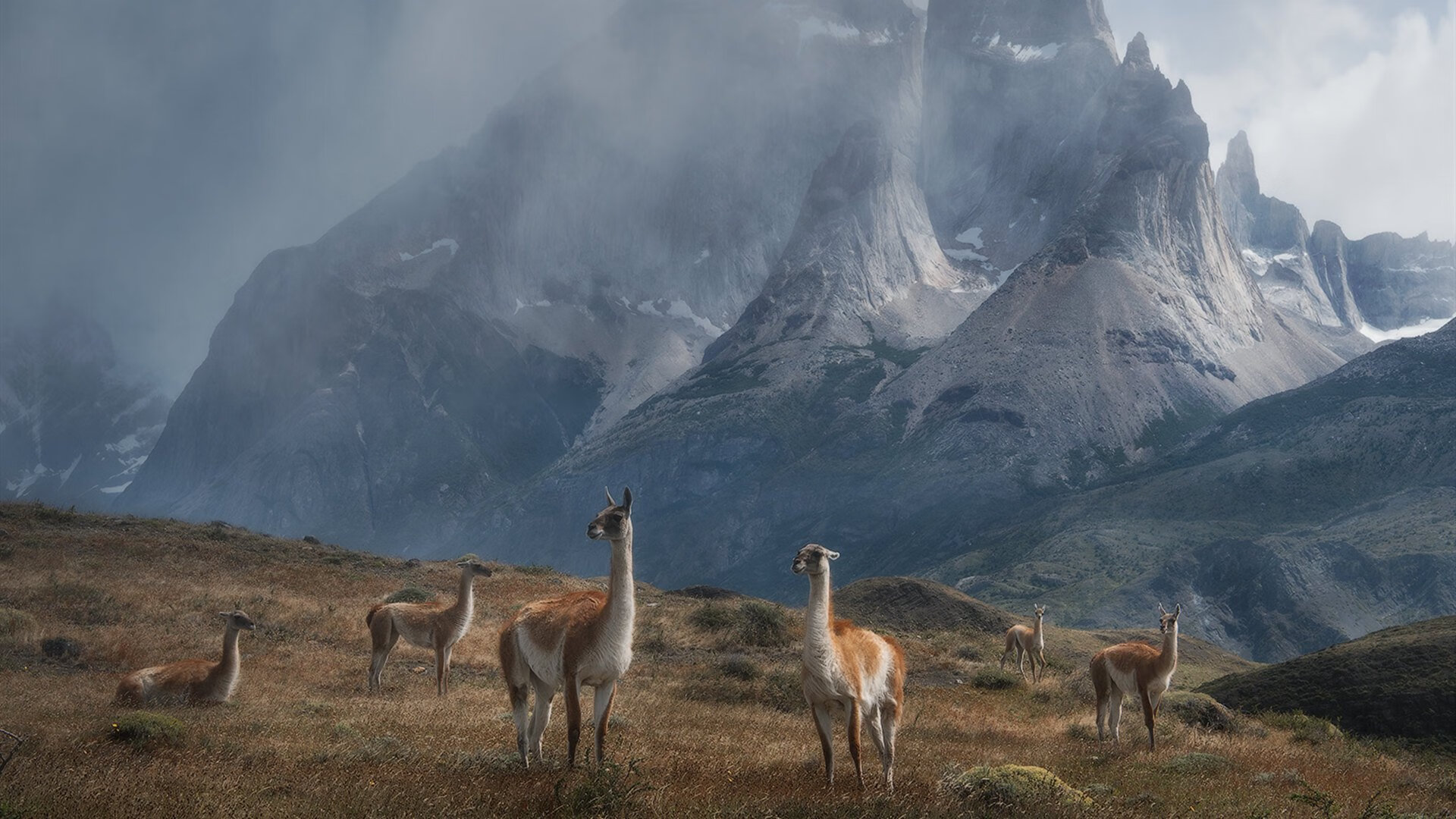 团队为王!约基奇轻取三双,掘金七人得分上双完胜独行侠
